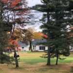 Tessar Constructions | Maisons du Golf Alpine | Nature